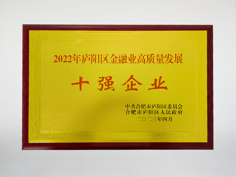 2022年庐阳区金融业高质量发展十强企业